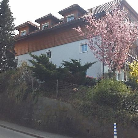 Mayerhofer House Linz Buitenkant foto