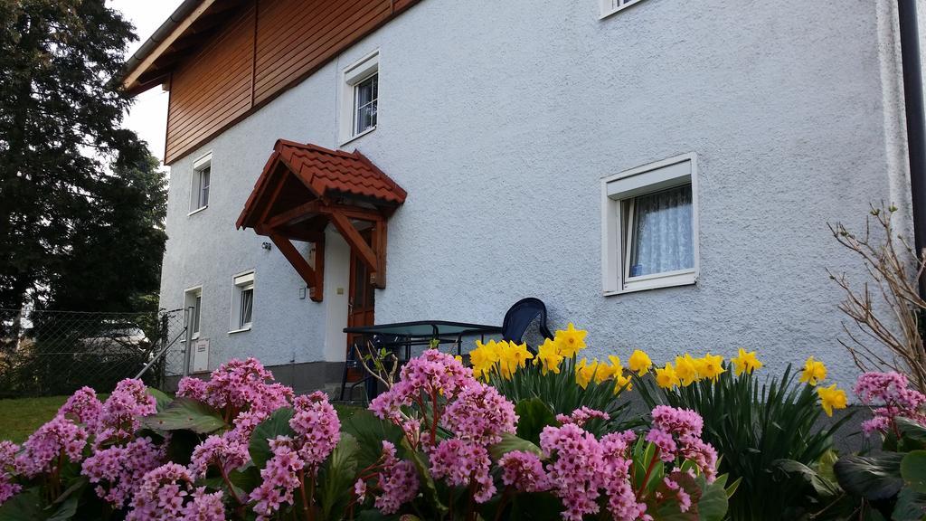 Mayerhofer House Linz Buitenkant foto